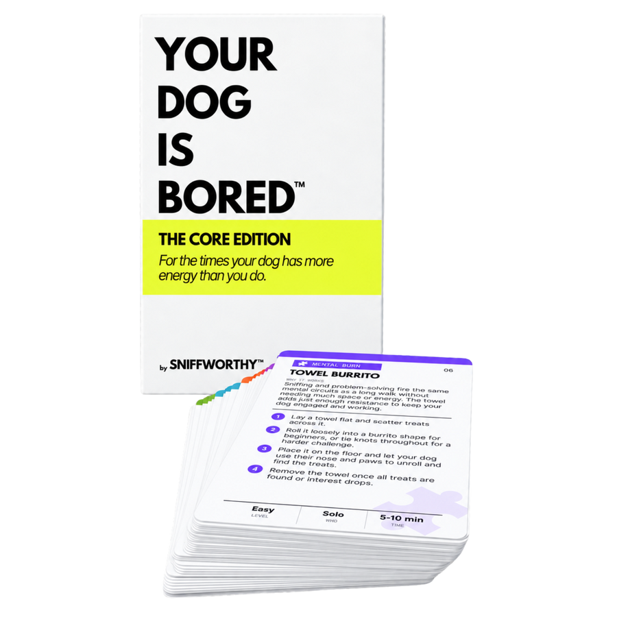 Your Dog Is Bored card deck