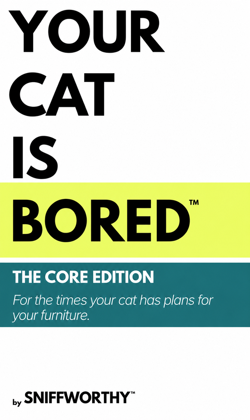 Your Cat Is Bored deck